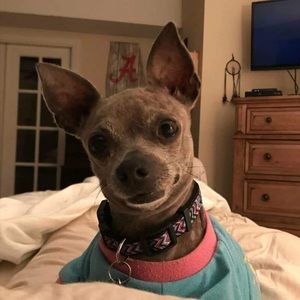 Meet your Posher, Sharon